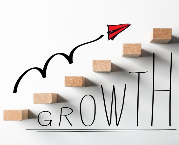 Growth Strategy